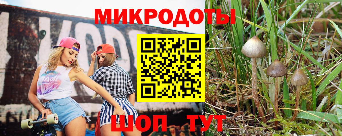 Галлюциногенные грибы прущие грибы Троицк