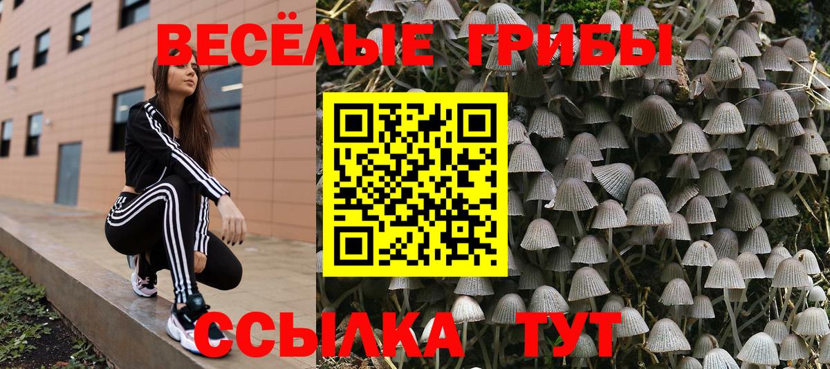 Галлюциногенные грибы Magic Shrooms  Вход с VPN  Псилоцибиновые грибы Cubensis  Троицк 